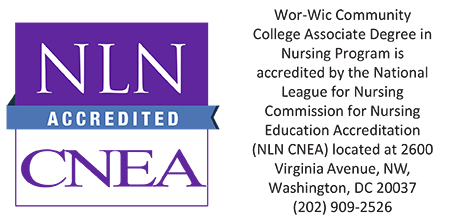 NLN Accredited CNEA ADN