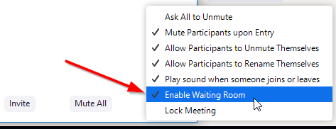 Zoom Enable Waiting Room