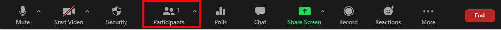 Zoom Participants