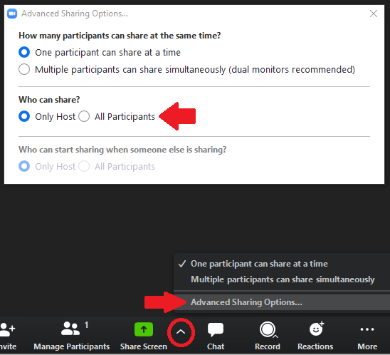 Zoom Screen Share Options